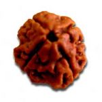 4 Mukhi