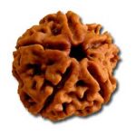 5 Mukhi