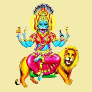 Pratyangira-Devi-Homam-Harivara